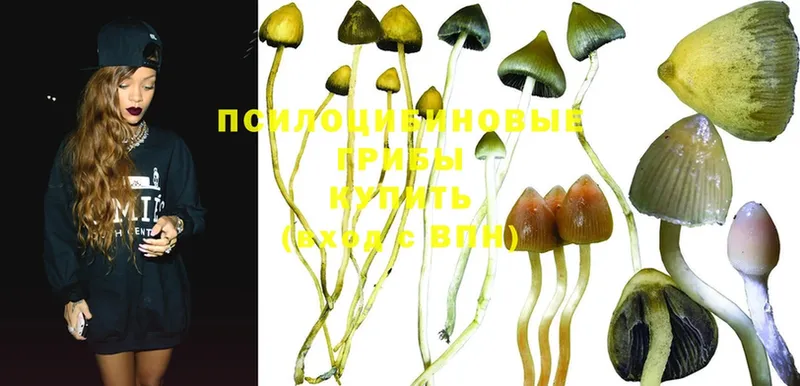 Псилоцибиновые грибы Magic Shrooms  это как зайти  Игра 